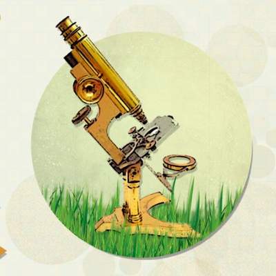 Movimiento Browniano Movimiento Browniano