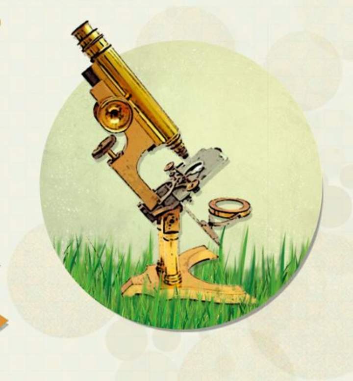 Movimiento Browniano Movimiento Browniano