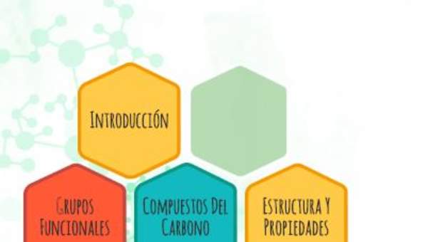 Compuestos del carbono Compuestos del carbono