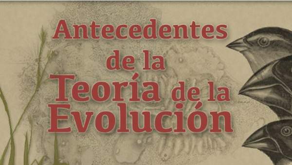 Antecedentes de la teoría de la evolución Antecedentes de la teoría de la evolución
