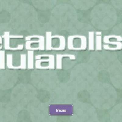 Metabolismo celular Metabolismo celular