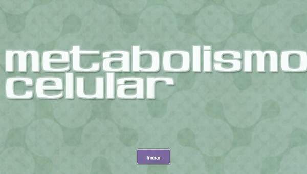Metabolismo celular Metabolismo celular