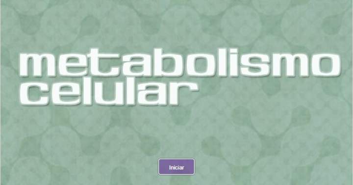 Metabolismo celular Metabolismo celular