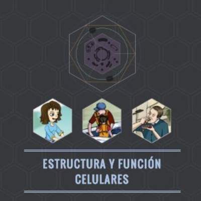Estructura y función celulares Estructura y función celulares