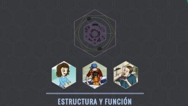 Estructura y función celulares Estructura y función celulares