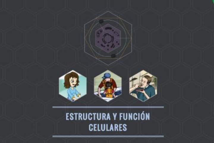 Estructura y función celulares Estructura y función celulares