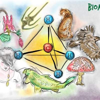 Biomoléculas Biomoléculas