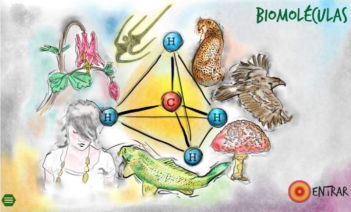 Biomoléculas Biomoléculas