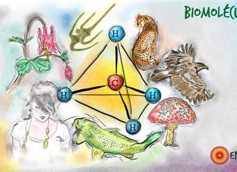 Biomoléculas Biomoléculas