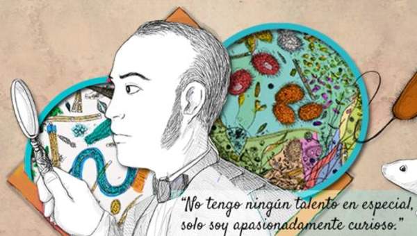 Metodologías de investigación Metodologías de investigación