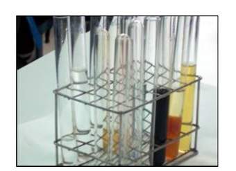 Reacciones químicas Reacciones químicas