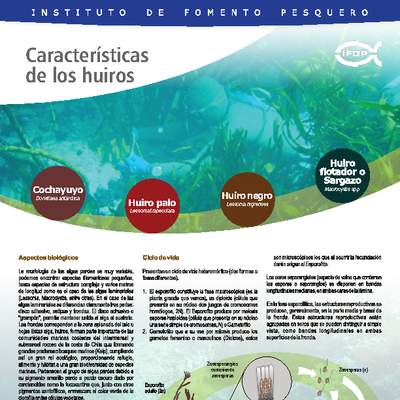 Características de los huiros. Características de los huiros.