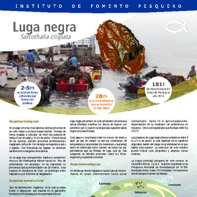 Luga negra. Luga negra.