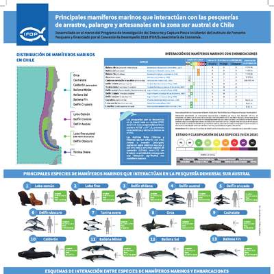 Principales mamíferos marinos que interactúan con las pesquerías de arrastre, palangre y artesanales en la zona sur austral de Chile Principales mamíferos marinos que interactúan con las pesquerías de arrastre, palangre y artesanales en la zona sur austral de Chile
