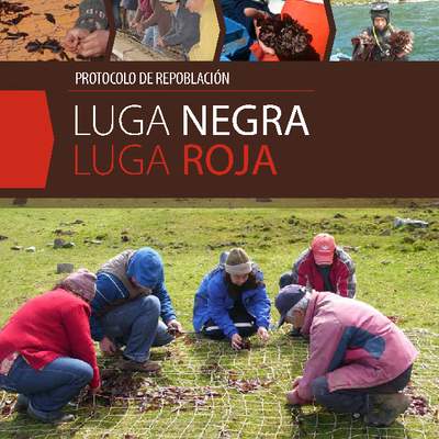 Protocolo de repoblación de lugas. Protocolo de repoblación de lugas.