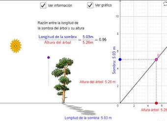 Arbolito: proporcionalidad directa Arbolito: proporcionalidad directa