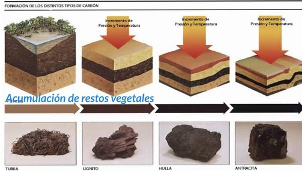 Rocas sedimentarias Rocas sedimentarias