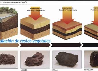 Rocas sedimentarias Rocas sedimentarias