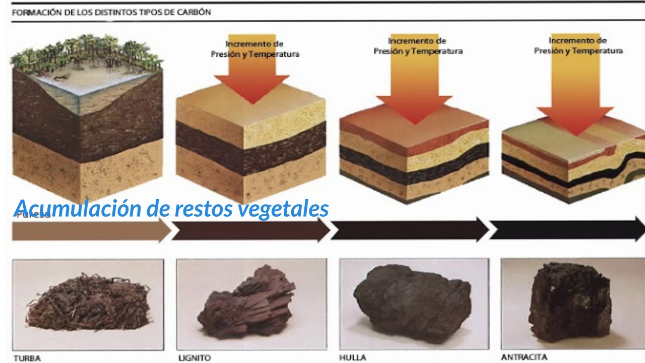 Rocas sedimentarias Rocas sedimentarias
