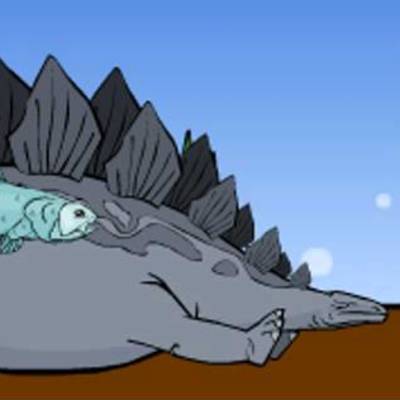 ¿Qué es un fósil?  ¿Qué es un fósil?