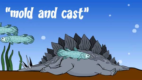 ¿Qué es un fósil?  ¿Qué es un fósil?