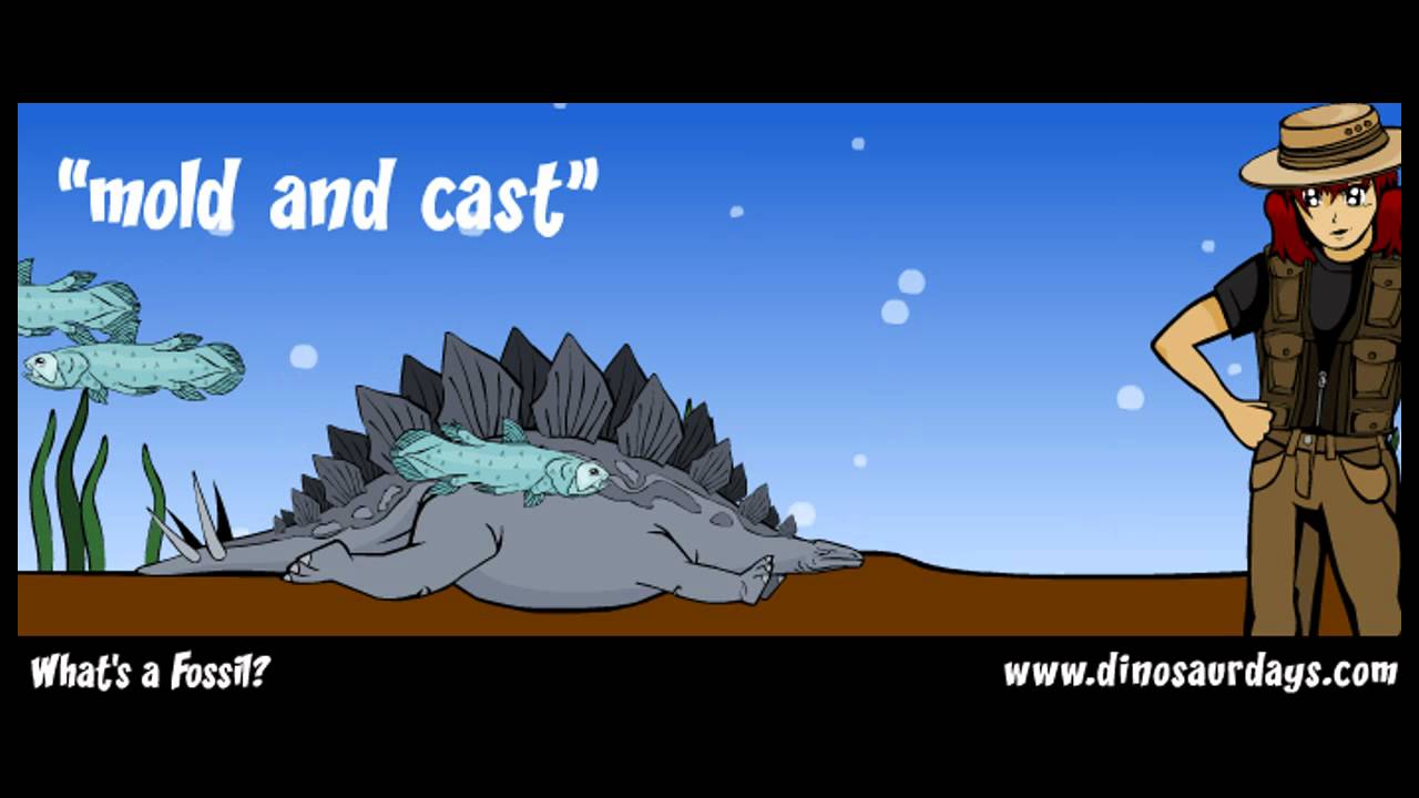 ¿Qué es un fósil?  ¿Qué es un fósil?