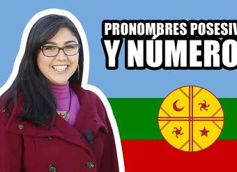 Clases de Mapudungun- Clase 3 -  Pronombres posesivos y Números - NIVEL BÁSICO Clases de Mapudungun- Clase 3 -  Pronombres posesivos y Números - NIVEL BÁSICO