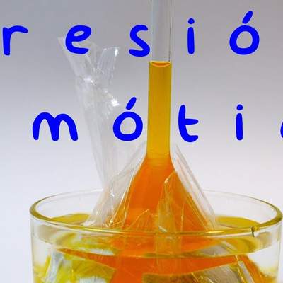 Propiedades Coligativas de las Disoluciones. Presión Osmótica Propiedades Coligativas de las Disoluciones. Presión Osmótica