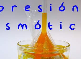 Propiedades Coligativas de las Disoluciones. Presión Osmótica Propiedades Coligativas de las Disoluciones. Presión Osmótica
