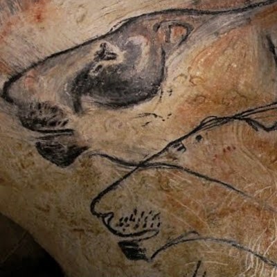 What can Stone Age art tell us about extinct animals? What can Stone Age art tell us about extinct animals?