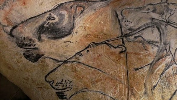 What can Stone Age art tell us about extinct animals? What can Stone Age art tell us about extinct animals?