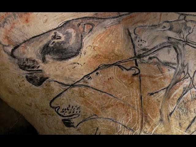 What can Stone Age art tell us about extinct animals? What can Stone Age art tell us about extinct animals?