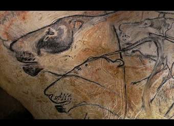 What can Stone Age art tell us about extinct animals? What can Stone Age art tell us about extinct animals?