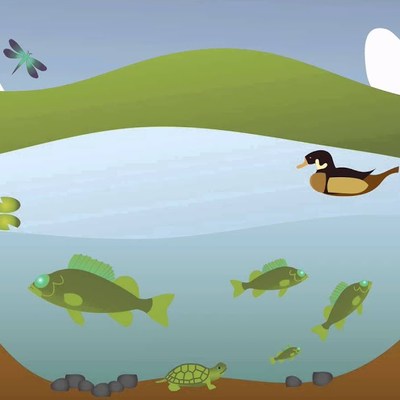 Introduction to Ecology Introduction to Ecology