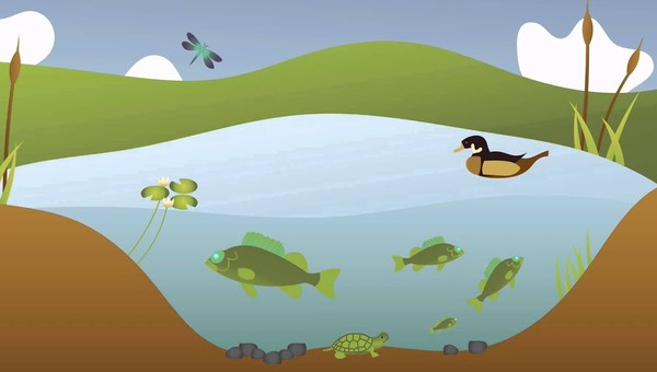 Introduction to Ecology Introduction to Ecology