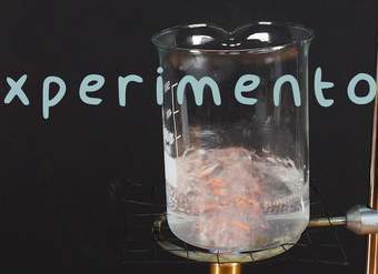 Estados de Agregación de la Materia. EXPERIMENTOS. Estados de Agregación de la Materia. EXPERIMENTOS.