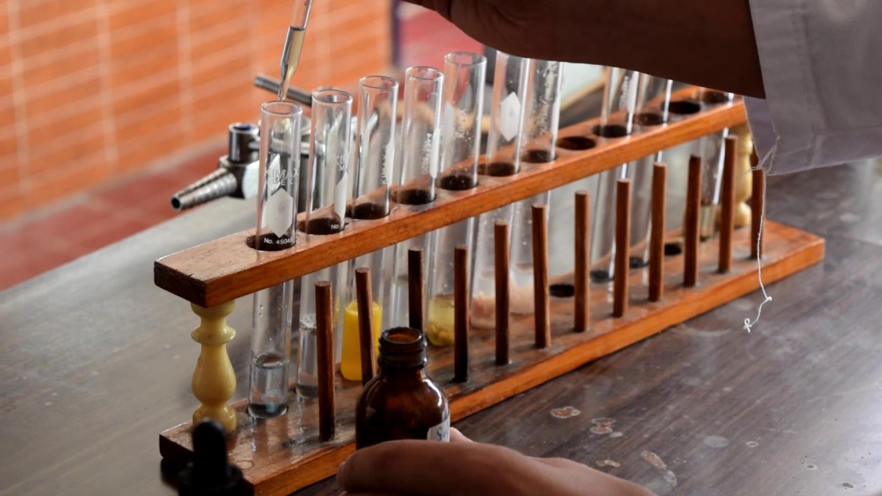 Cómo identificar proteínas y grasas en los alimentos Cómo identificar proteínas y grasas en los alimentos