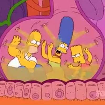 Video introductorio al Sistema digestivo. Video introductorio al Sistema digestivo.