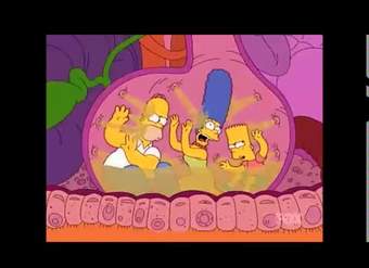 Video introductorio al Sistema digestivo. Video introductorio al Sistema digestivo.