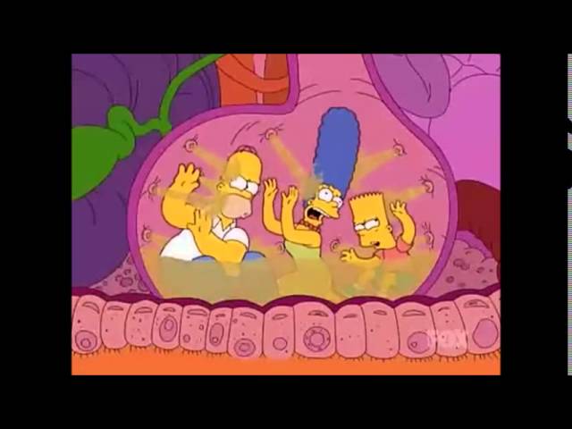 Video introductorio al Sistema digestivo. Video introductorio al Sistema digestivo.