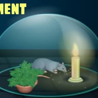 Air and Photosynthesis - Nutrition, Class 10 Biology | SSC Air and Photosynthesis - Nutrition, Class 10 Biology | SSC