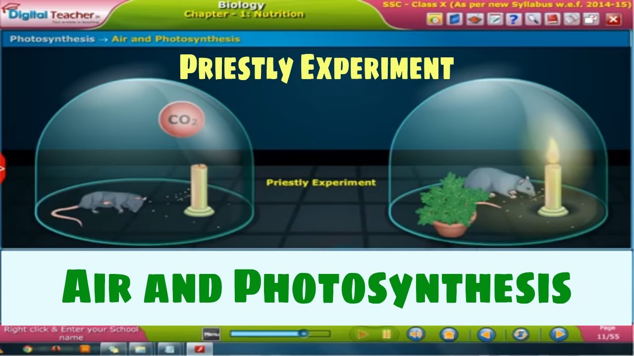 Air and Photosynthesis - Nutrition, Class 10 Biology | SSC Air and Photosynthesis - Nutrition, Class 10 Biology | SSC