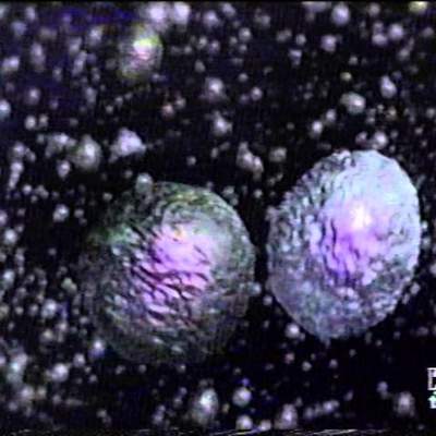 la gripe y el sistema inmunitario la gripe y el sistema inmunitario