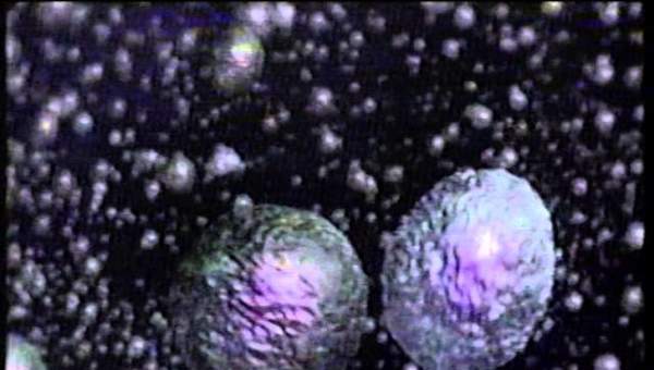 la gripe y el sistema inmunitario la gripe y el sistema inmunitario