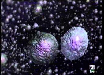 la gripe y el sistema inmunitario la gripe y el sistema inmunitario