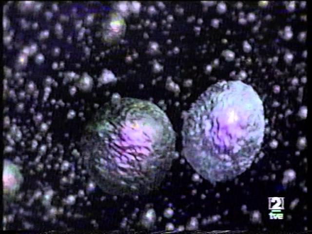 la gripe y el sistema inmunitario la gripe y el sistema inmunitario