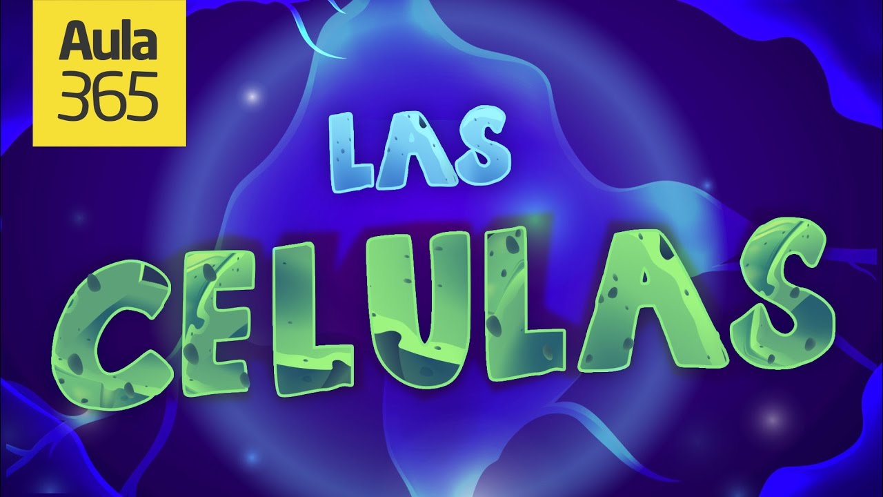 Las Células Eucariotas y Procariotas | Videos Educativos para Niños Las Células Eucariotas y Procariotas | Videos Educativos para Niños