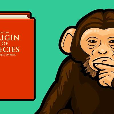 Does the Theory of Evolution Really Matter? Does the Theory of Evolution Really Matter?