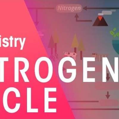 The Nitrogen Cycle | Chemistry for All | FuseSchool The Nitrogen Cycle | Chemistry for All | FuseSchool
