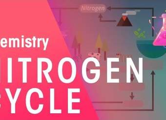 The Nitrogen Cycle | Chemistry for All | FuseSchool The Nitrogen Cycle | Chemistry for All | FuseSchool